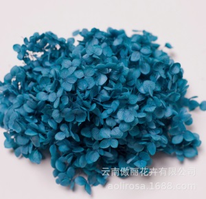云南鲜花直批永生花木绣球/保鲜花真花干花塔型盒装绣球厂家批发