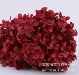 云南鲜花直批永生花木绣球/保鲜花真花干花塔型盒装绣球厂家批发