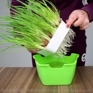 热卖水培香葱种头四季小葱种籽家庭阳台种菜盆栽蔬菜苗葱种子葱头