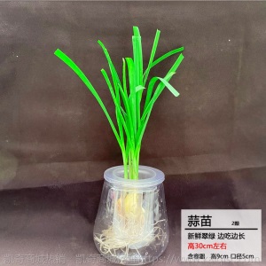 【基地直发】水培蔬菜草莓新鲜活菜带根配送无土栽培菜苗室内种植