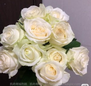 云南昆明玫瑰花鲜切花基地批发红玫瑰卡罗拉鲜花直批花店婚庆布置