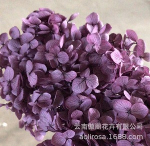 云南鲜花直批永生花木绣球/保鲜花真花干花塔型盒装绣球厂家批发