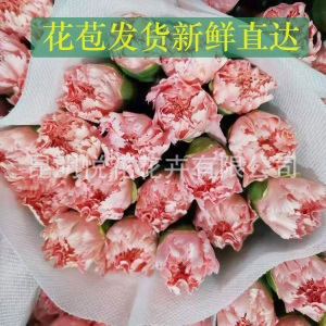 康乃馨鲜花云南基地鲜花直批专供花店婚庆用花家庭插花 量大咨询