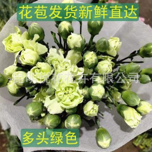 康乃馨鲜花云南基地鲜花直批专供花店婚庆用花家庭插花 量大咨询
