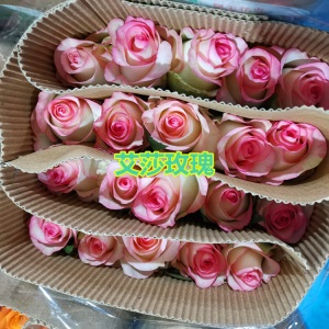 云南昆明玫瑰花鲜花批发教师节礼物直批花店婚庆场地布置用花