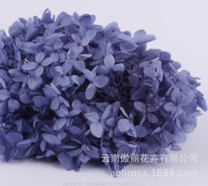 云南鲜花直批永生花木绣球/保鲜花真花干花塔型盒装绣球厂家批发