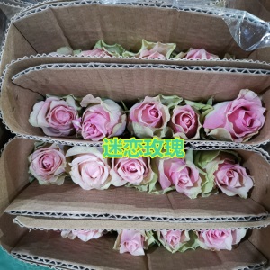 云南昆明玫瑰花鲜花批发教师节礼物直批花店婚庆场地布置用花