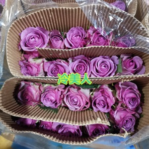 云南昆明玫瑰花鲜花批发教师节礼物直批花店婚庆场地布置用花