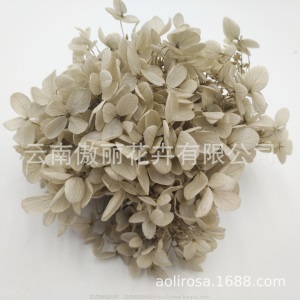 云南鲜花直批永生花木绣球/保鲜花真花干花塔型盒装绣球厂家批发