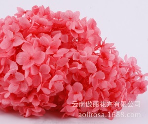 云南鲜花直批永生花木绣球/保鲜花真花干花塔型盒装绣球厂家批发