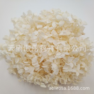 云南鲜花直批永生花木绣球/保鲜花真花干花塔型盒装绣球厂家批发