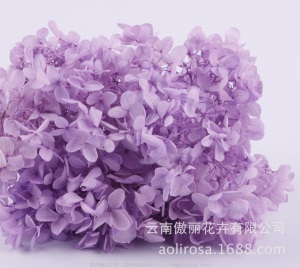 云南鲜花直批永生花木绣球/保鲜花真花干花塔型盒装绣球厂家批发