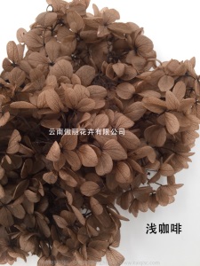 云南鲜花直批永生花木绣球/保鲜花真花干花塔型盒装绣球厂家批发