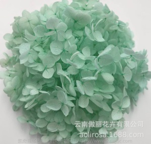 云南鲜花直批永生花木绣球/保鲜花真花干花塔型盒装绣球厂家批发