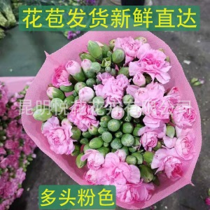 康乃馨鲜花云南基地鲜花直批专供花店婚庆用花家庭插花 量大咨询