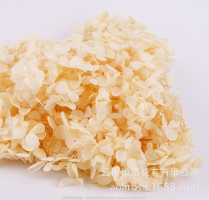 云南鲜花直批永生花木绣球/保鲜花真花干花塔型盒装绣球厂家批发