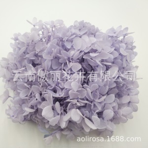 云南鲜花直批永生花木绣球/保鲜花真花干花塔型盒装绣球厂家批发