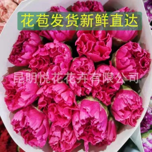 康乃馨鲜花云南基地鲜花直批专供花店婚庆用花家庭插花 量大咨询