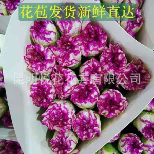 康乃馨鲜花云南基地鲜花直批专供花店婚庆用花家庭插花 量大咨询