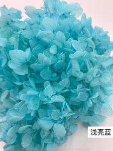 云南鲜花直批永生花木绣球/保鲜花真花干花塔型盒装绣球厂家批发