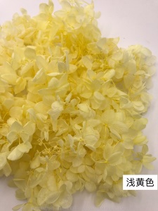 云南鲜花直批永生花木绣球/保鲜花真花干花塔型盒装绣球厂家批发