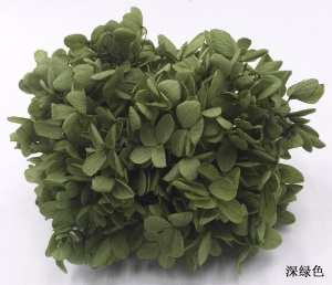 云南鲜花直批永生花木绣球/保鲜花真花干花塔型盒装绣球厂家批发