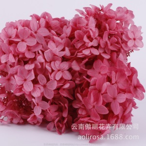 云南鲜花直批永生花木绣球/保鲜花真花干花塔型盒装绣球厂家批发
