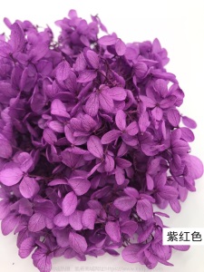 云南鲜花直批永生花木绣球/保鲜花真花干花塔型盒装绣球厂家批发