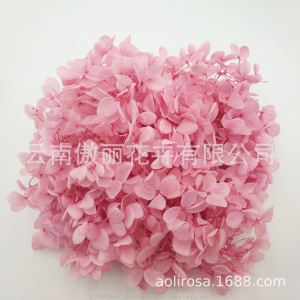 云南鲜花直批永生花木绣球/保鲜花真花干花塔型盒装绣球厂家批发