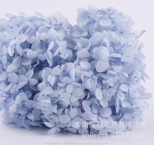 云南鲜花直批永生花木绣球/保鲜花真花干花塔型盒装绣球厂家批发