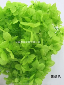 云南鲜花直批永生花木绣球/保鲜花真花干花塔型盒装绣球厂家批发