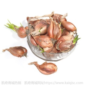 热卖水培香葱种头四季小葱种籽家庭阳台种菜盆栽蔬菜苗葱种子葱头