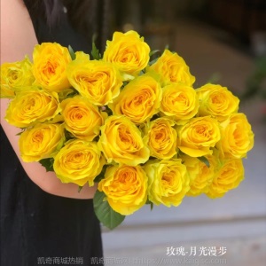 云南昆明玫瑰花鲜切花基地批发红玫瑰卡罗拉鲜花直批花店婚庆布置