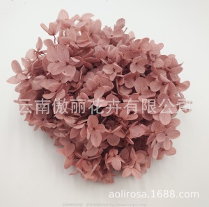 云南鲜花直批永生花木绣球/保鲜花真花干花塔型盒装绣球厂家批发