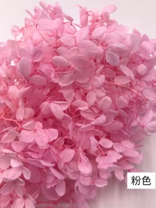 云南鲜花直批永生花木绣球/保鲜花真花干花塔型盒装绣球厂家批发