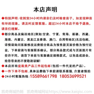 长丝瓜苗棱丝瓜苗肉丝瓜苗早熟产庭院阳台菜丝瓜秧苗子种子蔬菜苗