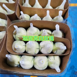 云南昆明玫瑰花鲜花批发教师节礼物直批花店婚庆场地布置用花