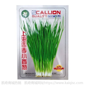热卖水培香葱种头四季小葱种籽家庭阳台种菜盆栽蔬菜苗葱种子葱头