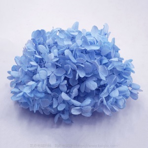云南鲜花直批永生花木绣球/保鲜花真花干花塔型盒装绣球厂家批发