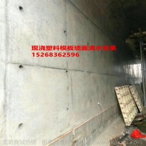  现浇水沟塑料模板 管廊框架格梁防撞墙建筑模板现浇塑钢模板厂家