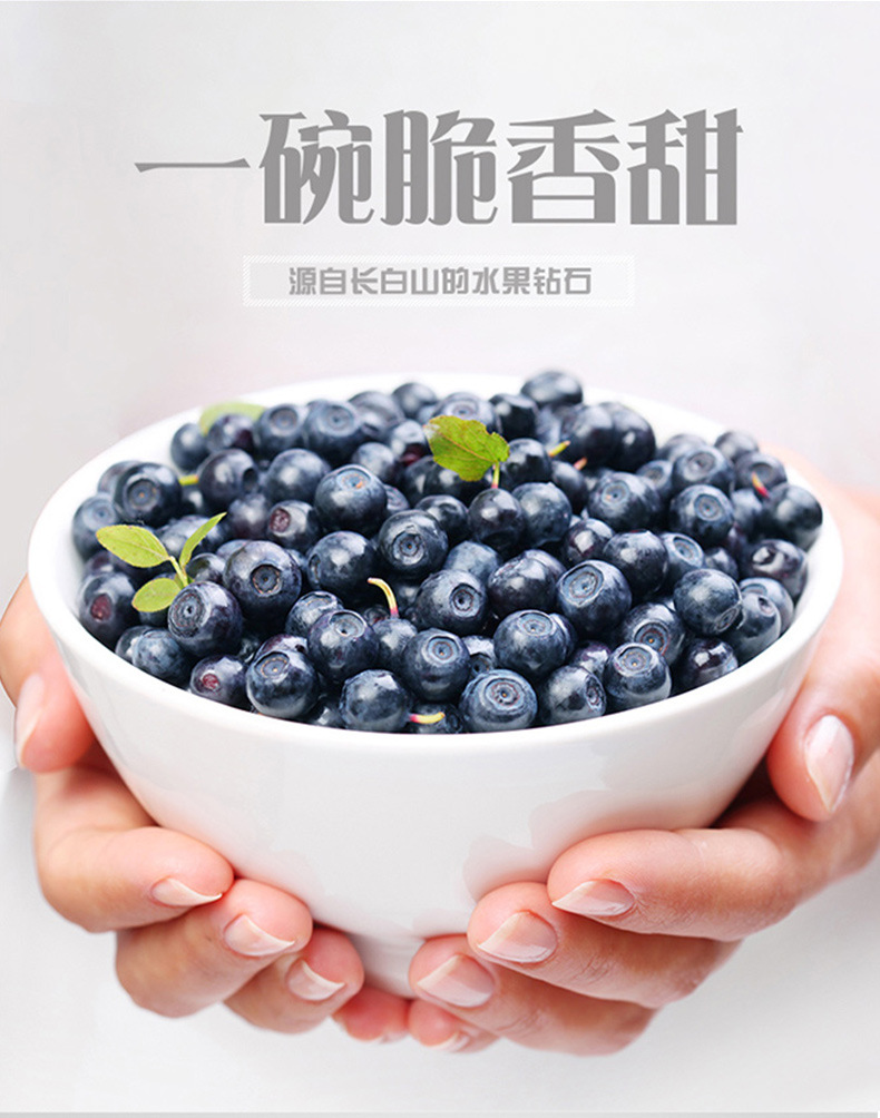 蓝莓鲜果_04