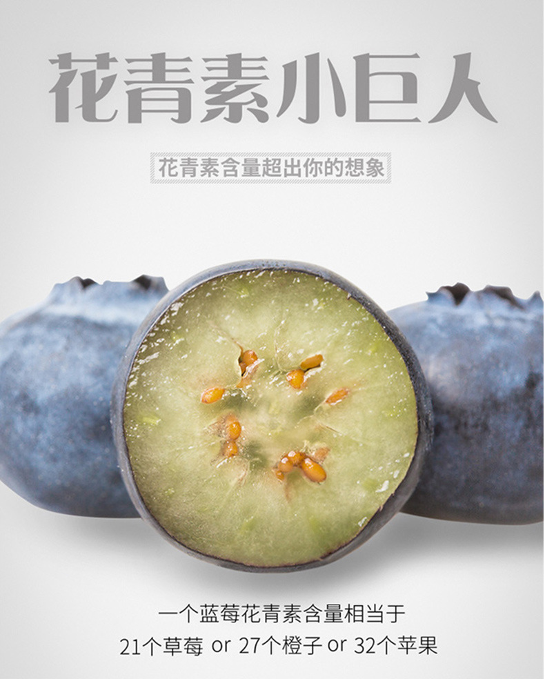 蓝莓鲜果_05