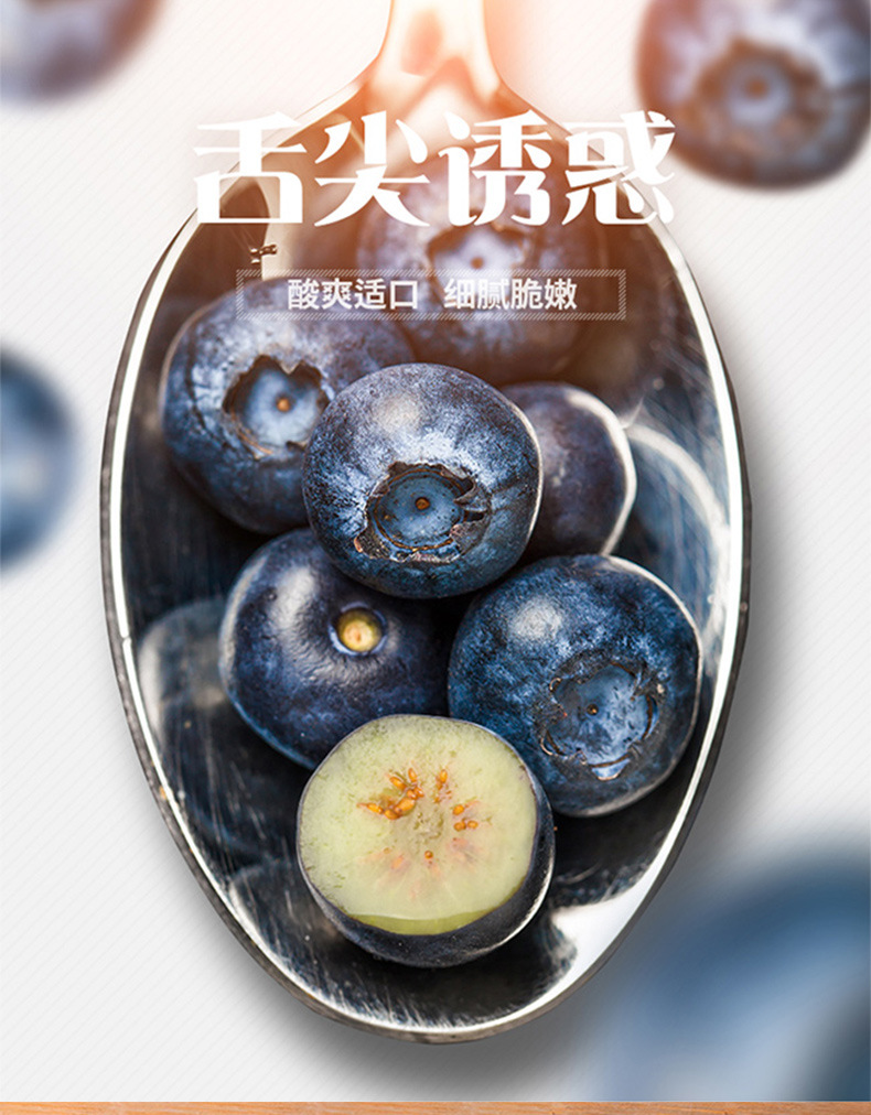 蓝莓鲜果_09