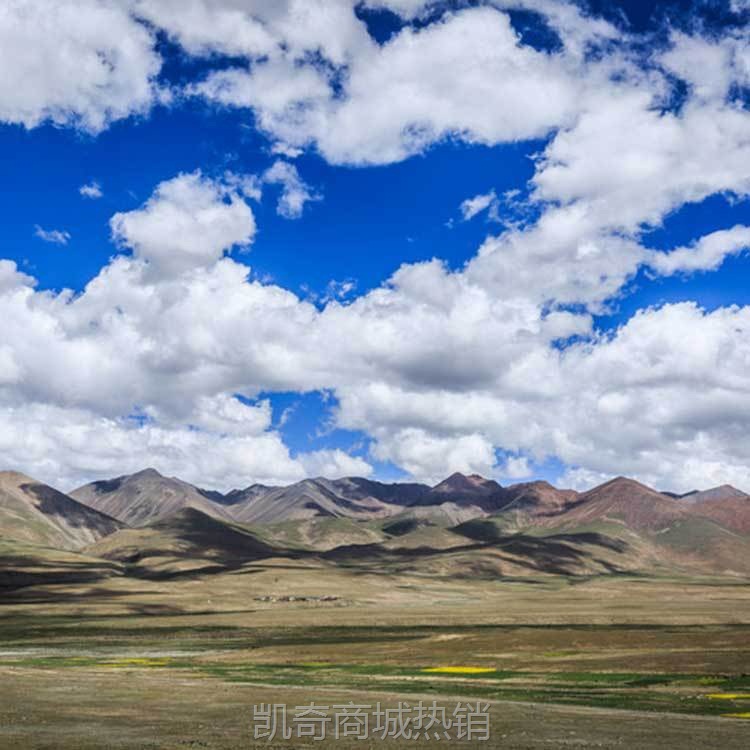 厂家批发红景天胶囊缺氧环境抗高原反应药西藏徒步旅游装备