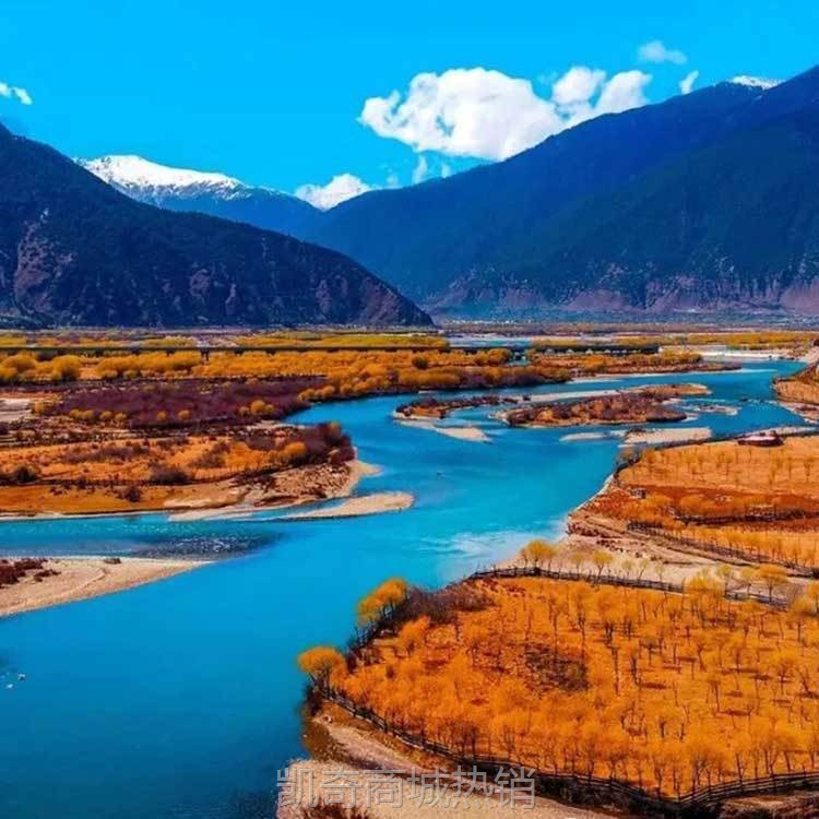 厂家批发红景天胶囊缺氧环境抗高原反应药西藏徒步旅游装备