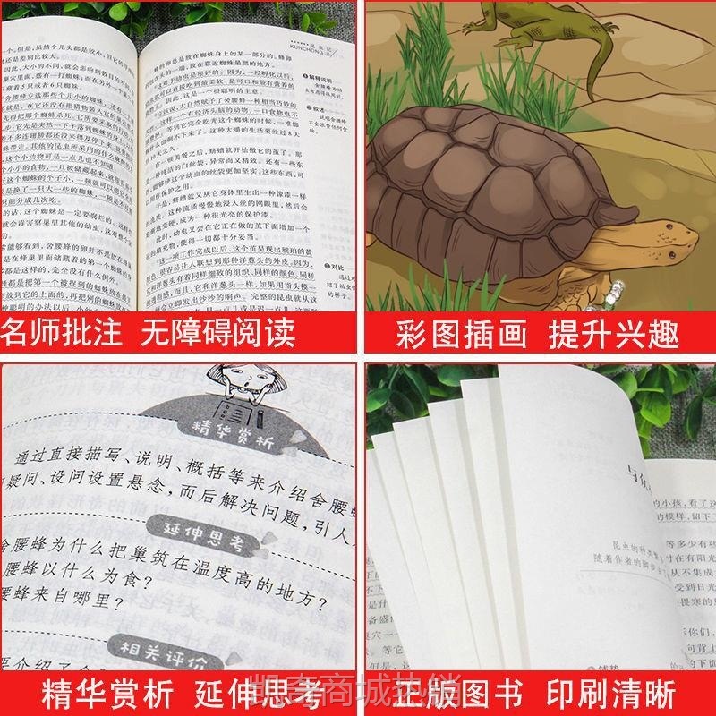 五年级上册课外书必读中国民间故事非洲欧洲城南旧事一千零一夜