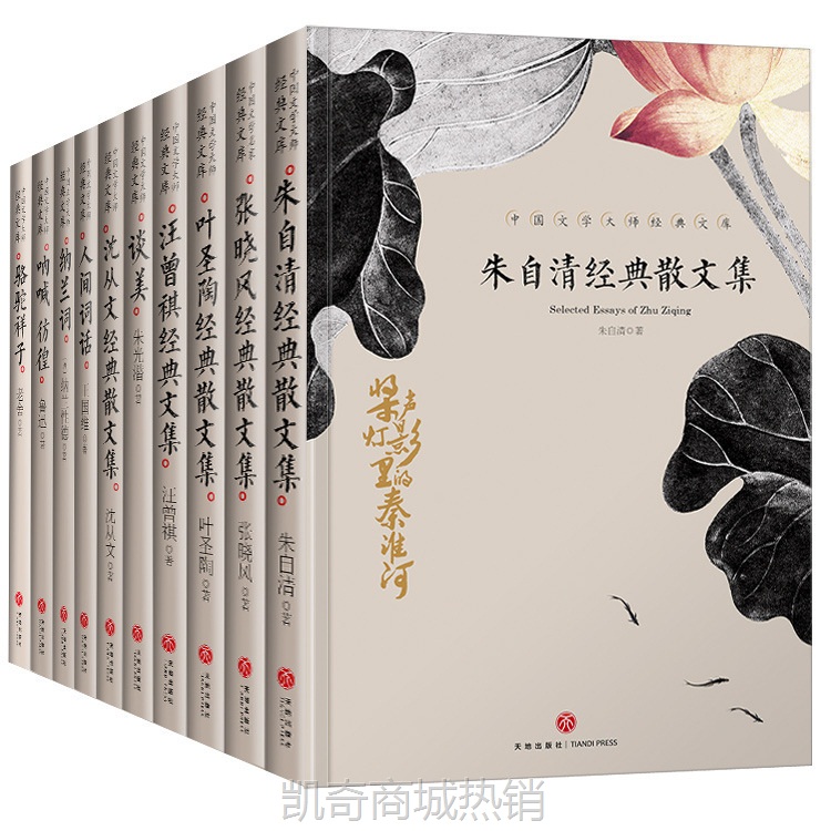 全套中国文学大师经典文库乡土老舍朱自清鲁迅海子沈从文张晓风书