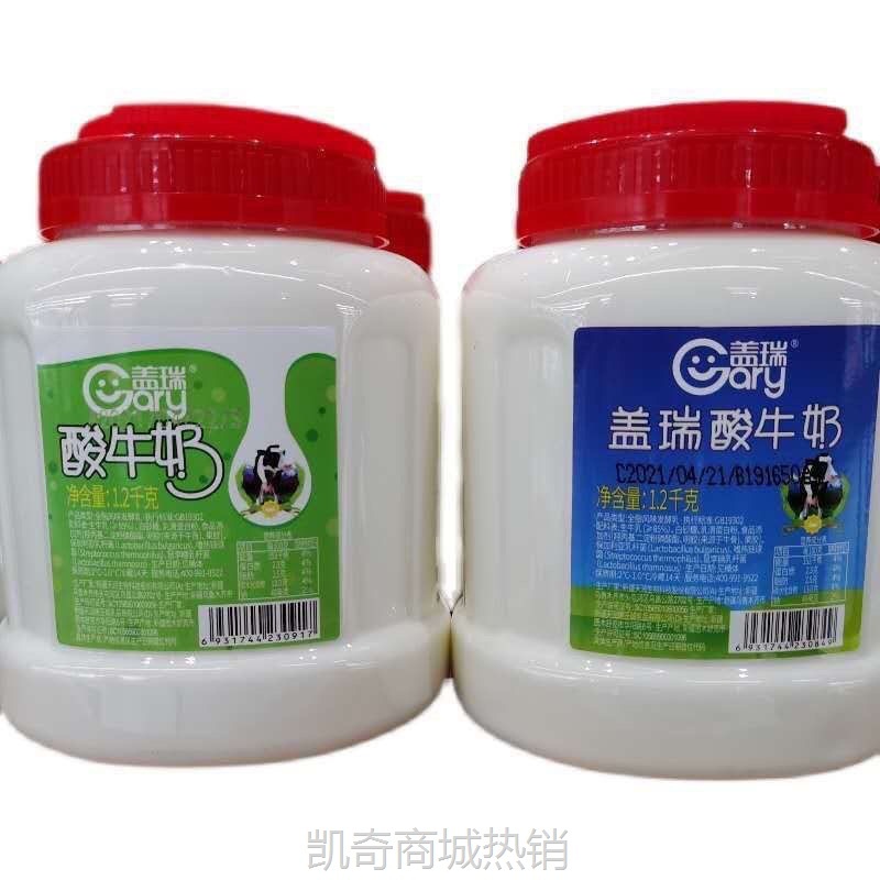 2.斤装发酵乳酸奶.2公斤新疆天润盖瑞酸奶大桶装源头工厂一件批发