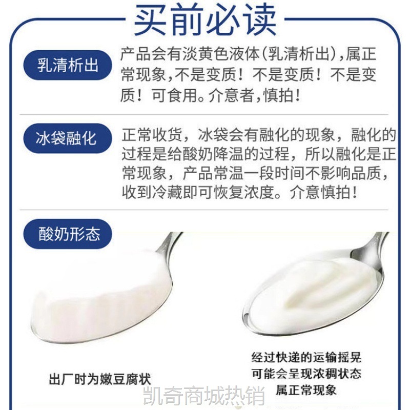 顺丰包邮新疆天润1kg老酸奶低温润康大方桶水果捞原味早餐奶包邮