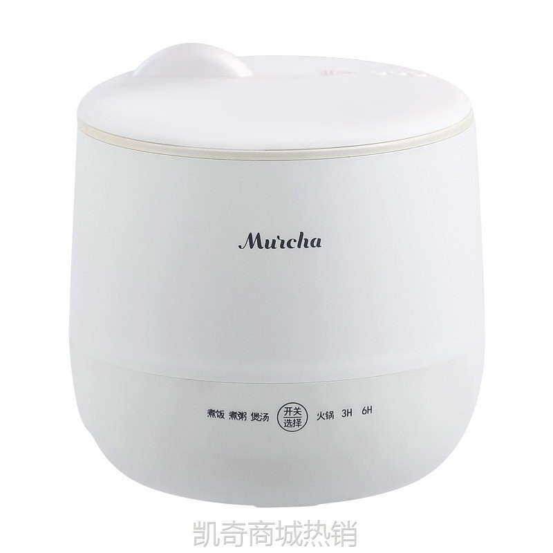 家用电饭煲小型一人食电饭锅火锅煮饭炖汤电炖锅煲汤煮粥迷你饭煲